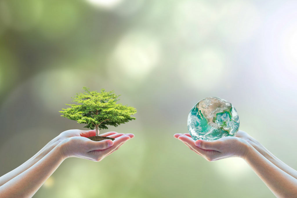 hand holding a tree and one hand holding globe with water