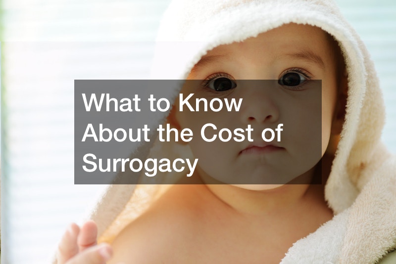 What to Know About the Cost of Surrogacy