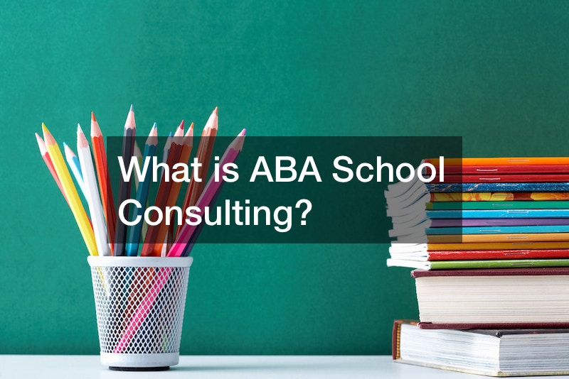 What is ABA School Consulting?